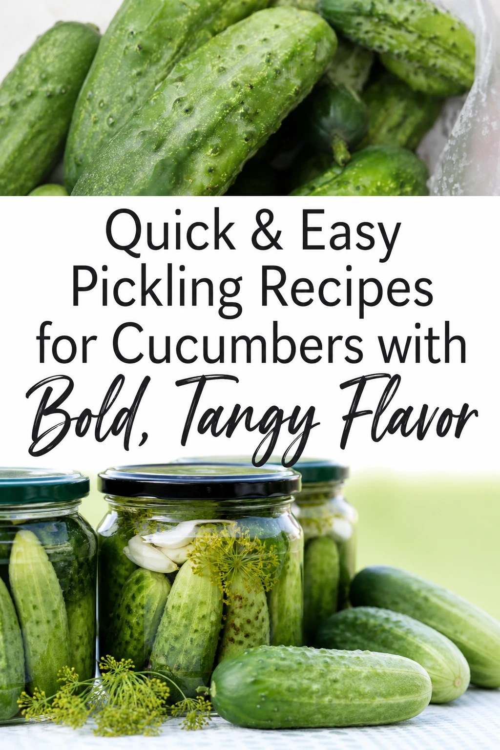 Quick & Easy Pickling Recipes for Cucumbers with Bold, Tangy Flavor